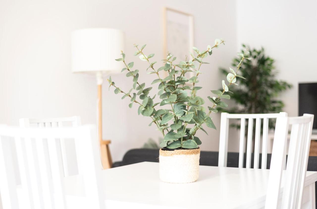 Apartamento Tierra 费罗尔 外观 照片